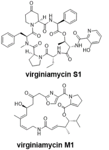 Pristinamycin (NSC-246121) 11006-76-1
